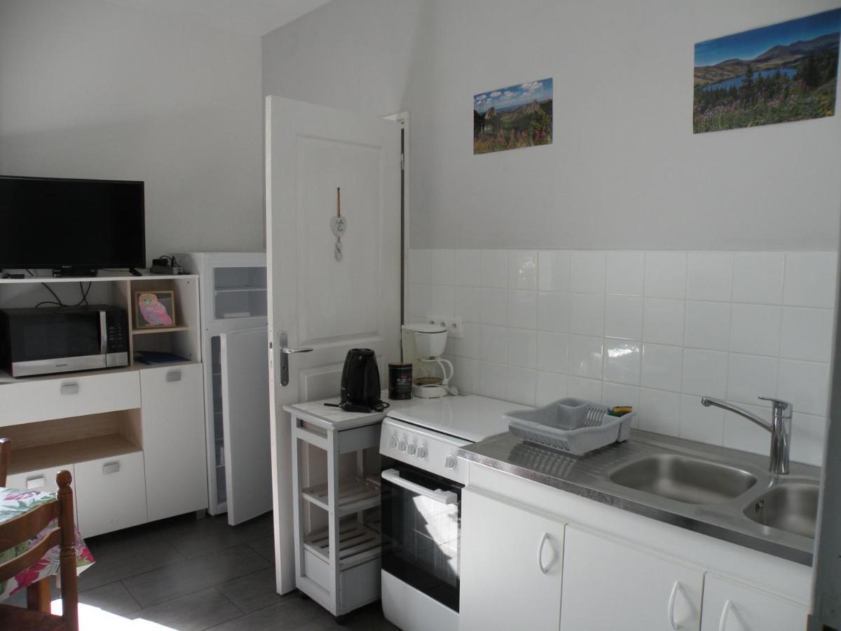 Rose, 4 Pers. Villa Saint Antoine, Orcival, Sancy Екстер'єр фото